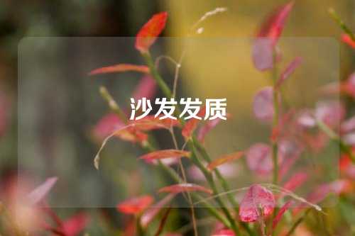 沙发发质