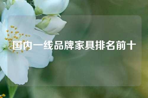 国内一线品牌家具排名前十