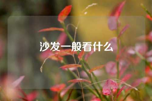 沙发一般看什么