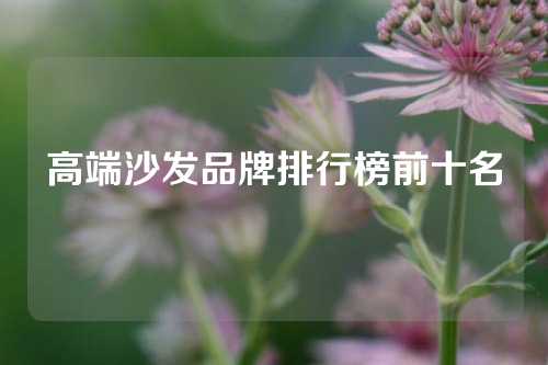 高端沙发品牌排行榜前十名