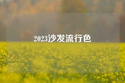 2023沙发流行色