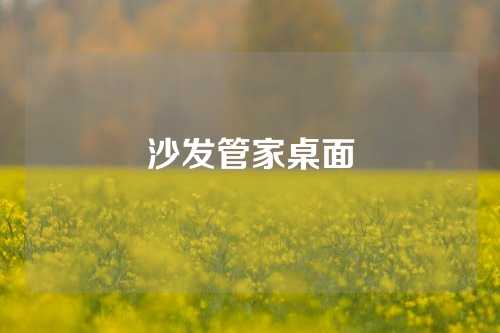 沙发管家桌面