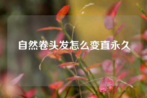 自然卷头发怎么变直永久