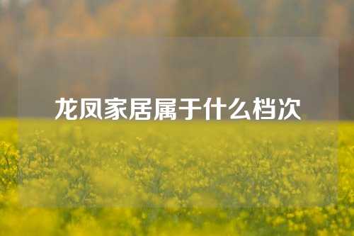 龙凤家居属于什么档次