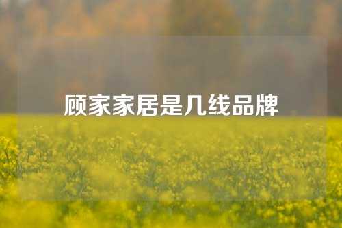顾家家居是几线品牌