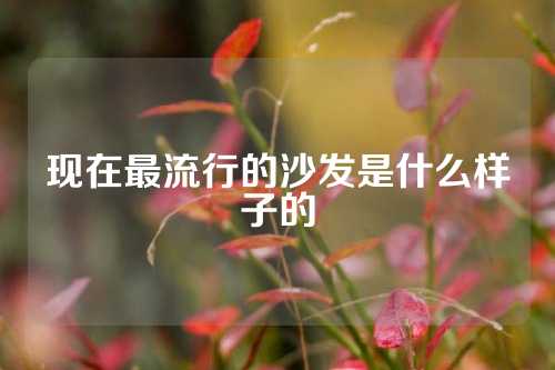 现在最流行的沙发是什么样子的