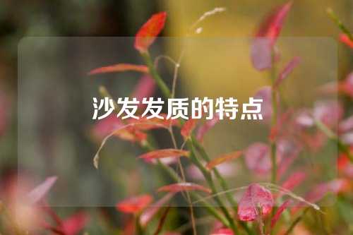 沙发发质的特点