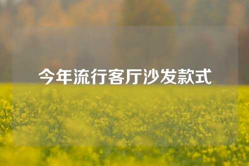 今年流行客厅沙发款式