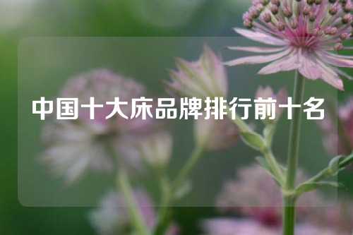 中国十大床品牌排行前十名