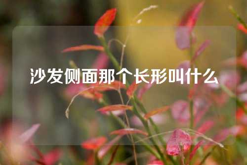 沙发侧面那个长形叫什么