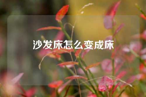 沙发床怎么变成床