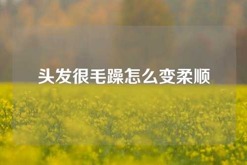 头发很毛躁怎么变柔顺