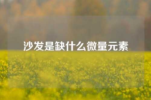 沙发是缺什么微量元素