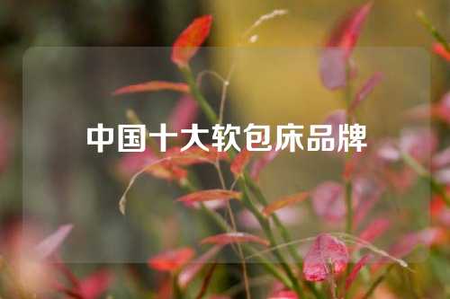 中国十大软包床品牌