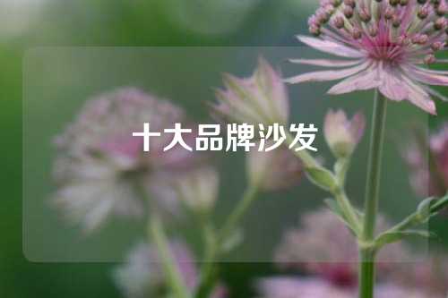 十大品牌沙发