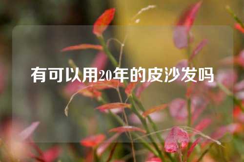 有可以用20年的皮沙发吗