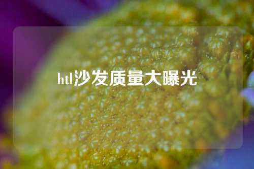 htl沙发质量大曝光