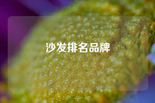 沙发排名品牌