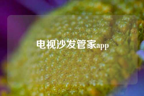 电视沙发管家app
