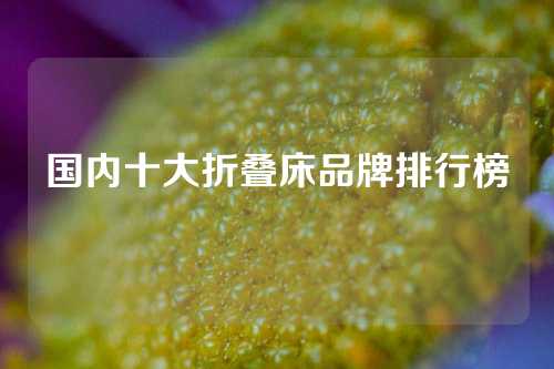国内十大折叠床品牌排行榜