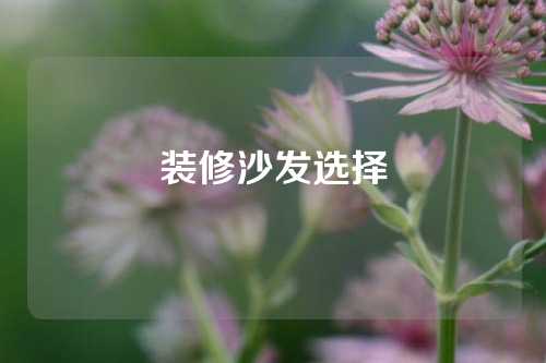 装修沙发选择