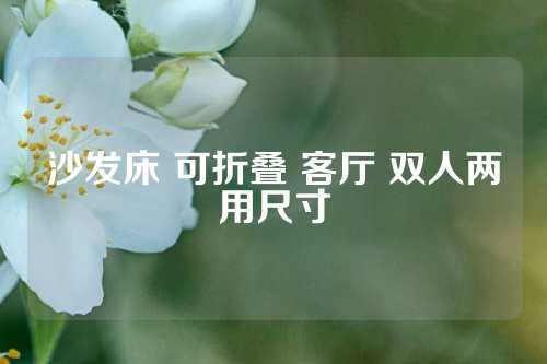 沙发床 可折叠 客厅 双人两用尺寸