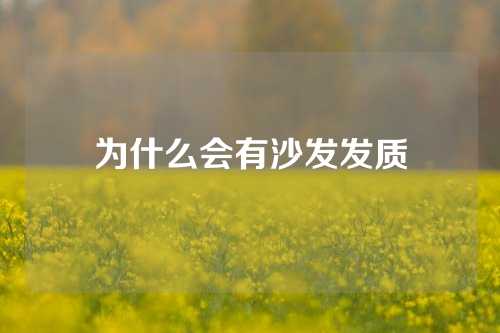 为什么会有沙发发质