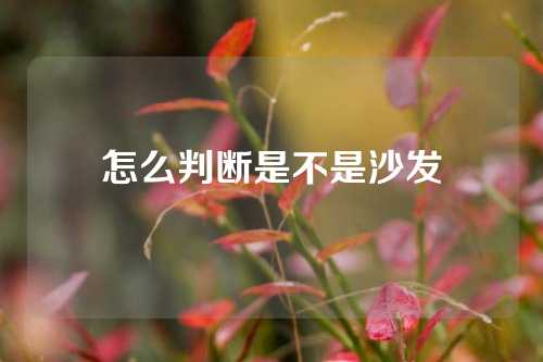 怎么判断是不是沙发