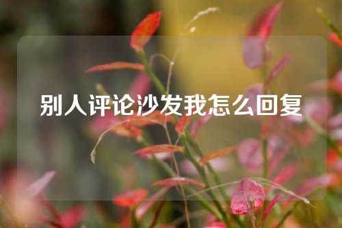 别人评论沙发我怎么回复