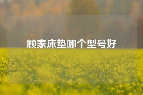 顾家床垫哪个型号好