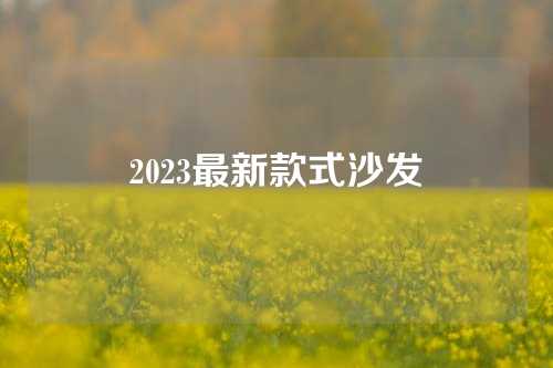 2023最新款式沙发