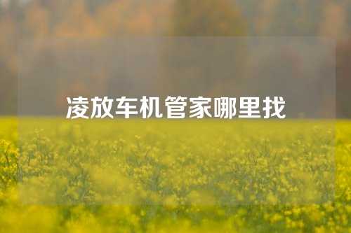 凌放车机管家哪里找