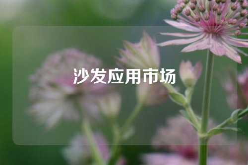 沙发应用市场