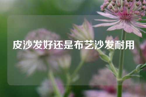 皮沙发好还是布艺沙发耐用