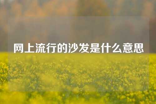 网上流行的沙发是什么意思