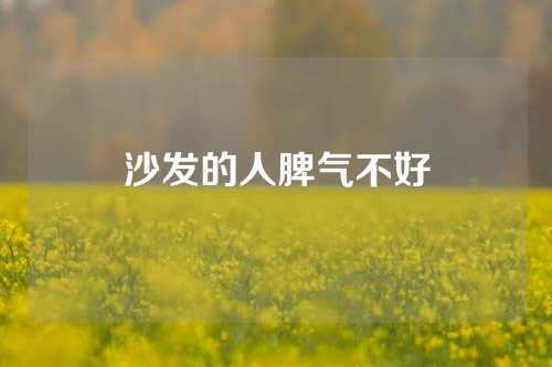 沙发的人脾气不好