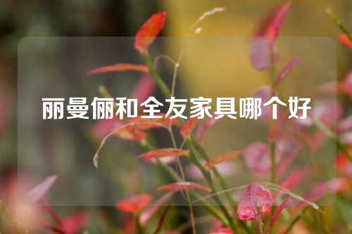 丽曼俪和全友家具哪个好