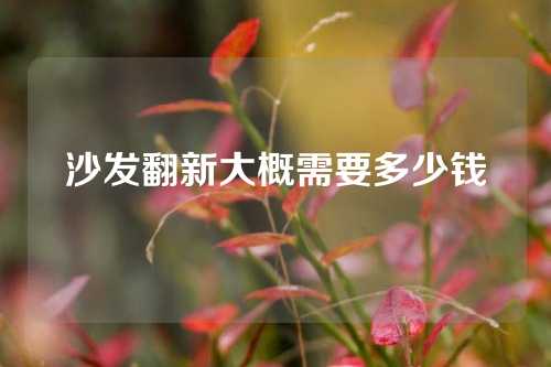 沙发翻新大概需要多少钱