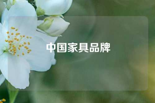 中国家具品牌