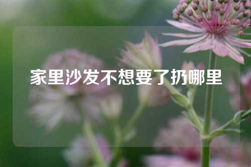 家里沙发不想要了扔哪里