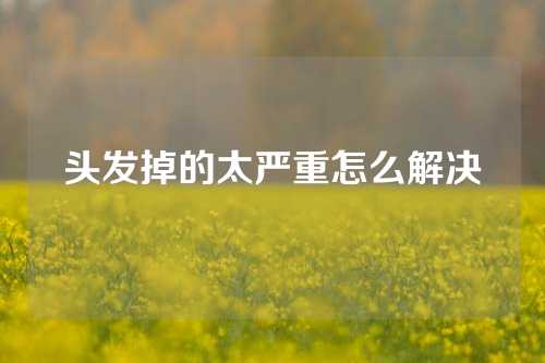 头发掉的太严重怎么解决