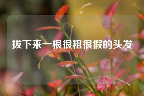 拔下来一根很粗很假的头发
