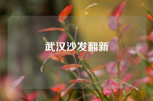 武汉沙发翻新