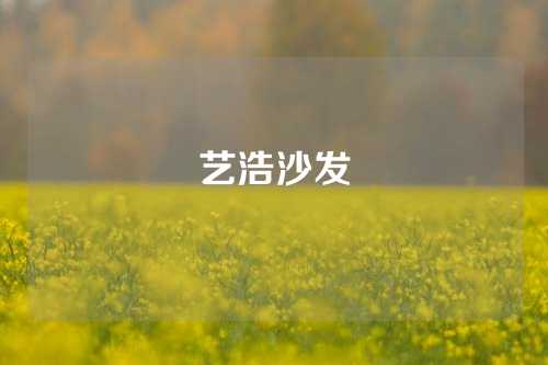 艺浩沙发