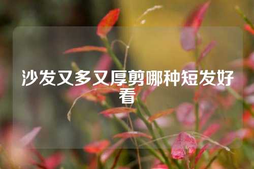 沙发又多又厚剪哪种短发好看