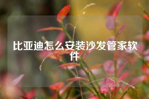 比亚迪怎么安装沙发管家软件