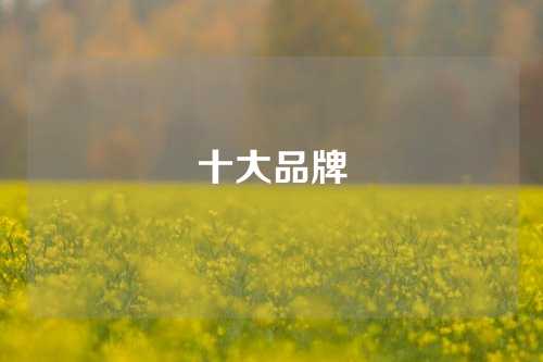 十大品牌