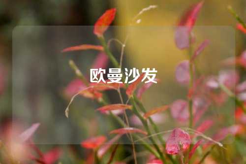 欧曼沙发