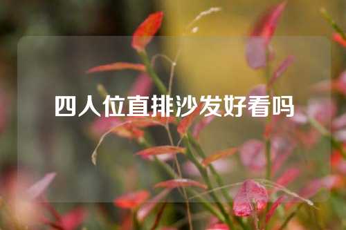 四人位直排沙发好看吗