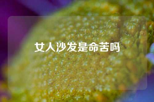 女人沙发是命苦吗
